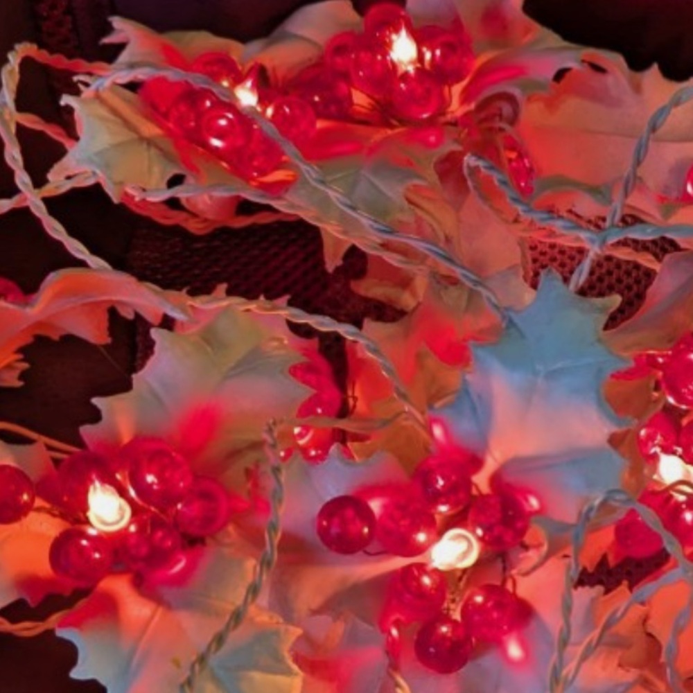 🎄 HOLLY & BERRIES Holiday Vintage Lights ITALY Approx 200”